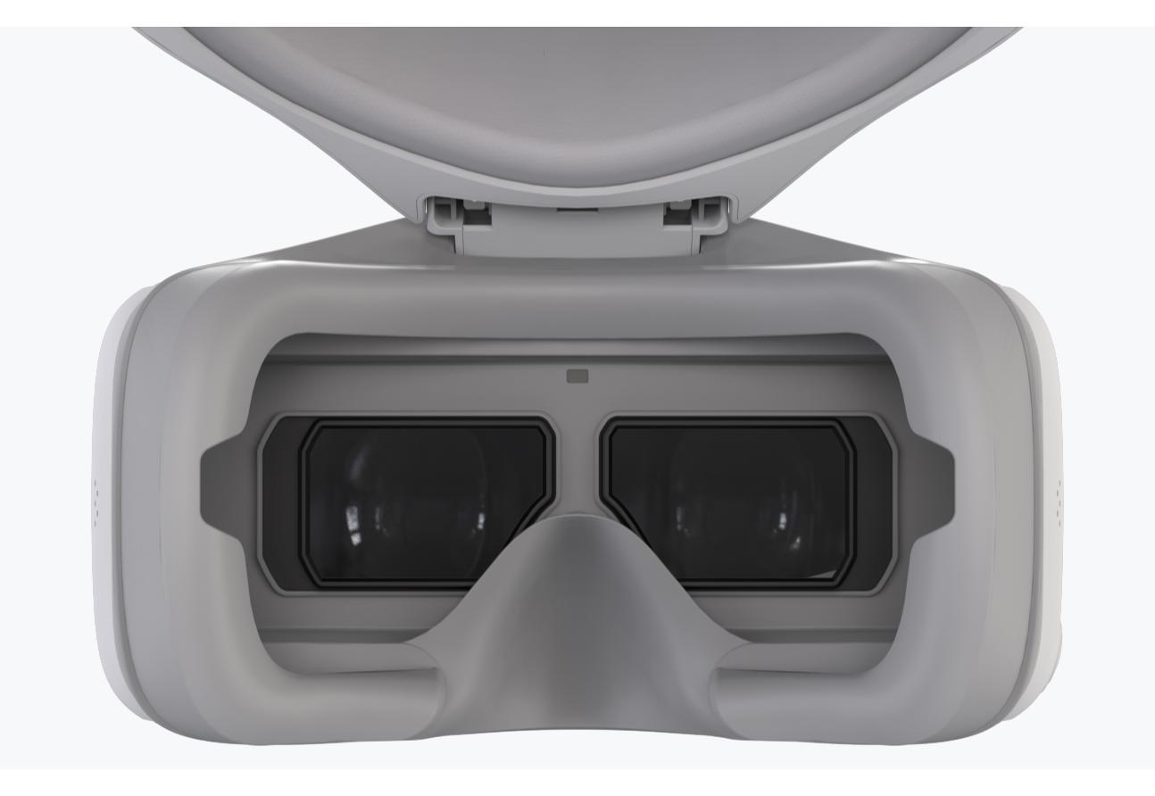 DJI  Goggles