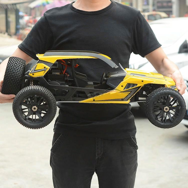  1/6 2WD  - Dune Buggy